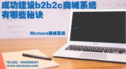 成功建设b2b2c商城系统有哪些秘诀